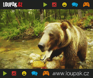 https://media.loupak.fun/soubory/obrazky_n/_GIF/41/l003.gif