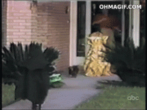 https://media.loupak.fun/soubory/obrazky_n/_GIF/444/0001.gif