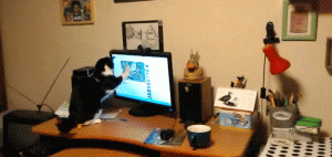 https://media.loupak.fun/soubory/obrazky_n/_GIF/601/2445.gif