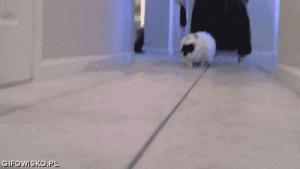 https://media.loupak.fun/soubory/obrazky_n/_GIF/602/2466.gif