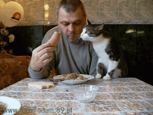 https://media.loupak.fun/soubory/obrazky_n/_GIF/643/3306.gif