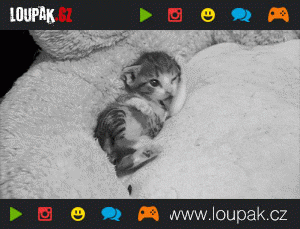 https://media.loupak.fun/soubory/obrazky_n/_GIF/65/jj004.gif