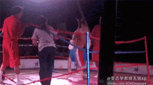 https://media.loupak.fun/soubory/obrazky_n/_GIF/664/322.gif