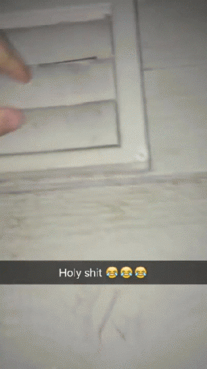 https://media.loupak.fun/soubory/obrazky_n/_GIF/723/0902.gif