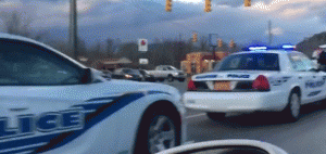 https://media.loupak.fun/soubory/obrazky_n/_GIF/735/1141.gif