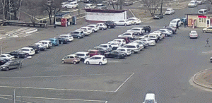 https://media.loupak.fun/soubory/obrazky_n/_GIF/736/1162.gif