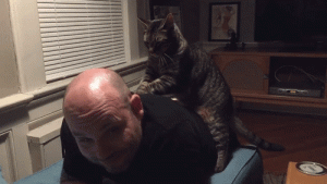 https://media.loupak.fun/soubory/obrazky_n/_GIF/966/1761.gif