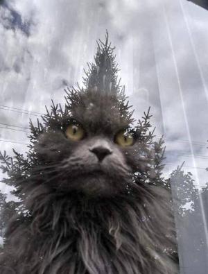 https://media.loupak.fun/soubory/obrazky_n/_funny/4219/00056.jpg