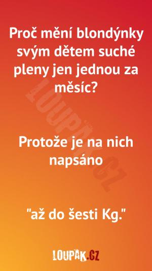 https://media.loupak.fun/soubory/obrazky_n/_nase-meme/1169/1801.jpg