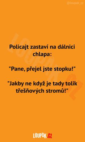 https://media.loupak.fun/soubory/obrazky_n/_nase-meme/1383/0771.jpg