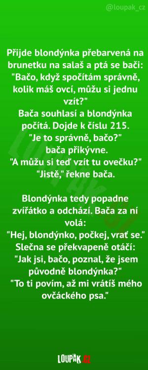 https://media.loupak.fun/soubory/obrazky_n/_nase-meme/1439/1611.jpg