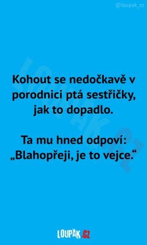 https://media.loupak.fun/soubory/obrazky_n/_nase-meme/2132/2507.jpg
