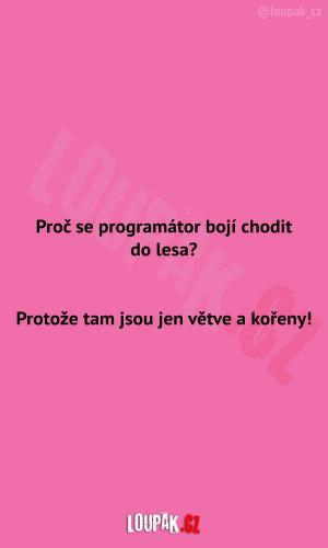https://media.loupak.fun/soubory/obrazky_n/_nase-meme/2215/3752.jpg