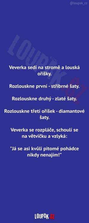 https://media.loupak.fun/soubory/obrazky_n/_nase-meme/2246/4216.jpg
