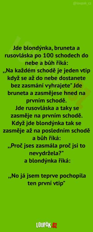 https://media.loupak.fun/soubory/obrazky_n/_nase-meme/2254/4337.jpg
