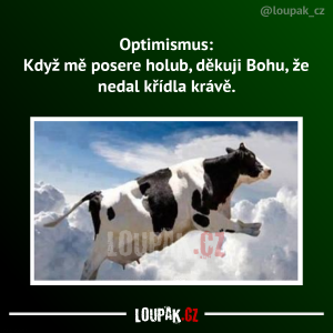 https://media.loupak.fun/soubory/obrazky_n/_nase-meme/369/1451.png