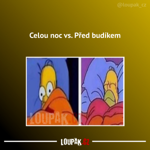 https://media.loupak.fun/soubory/obrazky_n/_nase-meme/612/1992.png