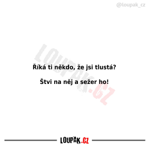 https://media.loupak.fun/soubory/obrazky_n/_nase-meme/687/0192.png