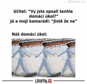 https://media.loupak.fun/soubory/obrazky_n/_nase-meme/721/0531.png