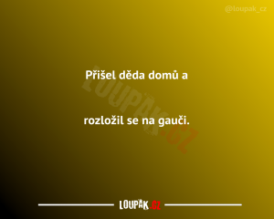 https://media.loupak.fun/soubory/obrazky_n/_nase-meme/963/0951.png