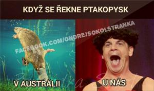 https://media.loupak.fun/soubory/obrazky_n/_particka/054/0531.jpg