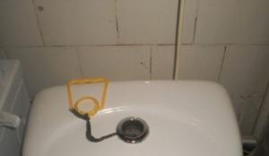 https://media.loupak.fun/soubory/obrazky_n/_specialni/99/0302.jpg
