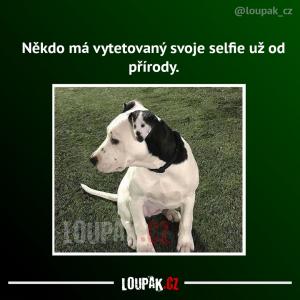 eben MILF lesbické porno