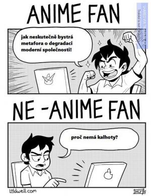 Anime fan