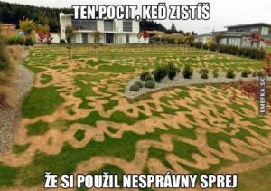Sprej