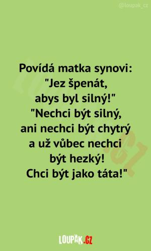 Rodič je prostě vzor pro dítě