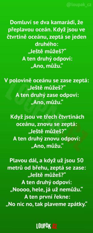 Kamarádi plavou přes oceán