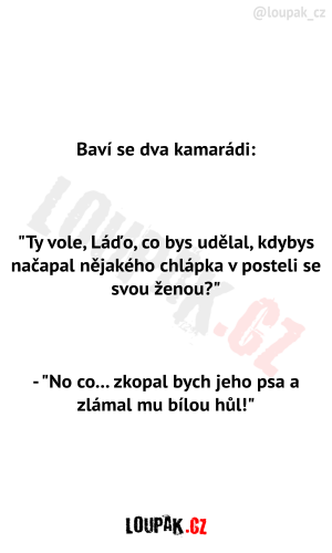 Dva kamarádi se baví o nevěře