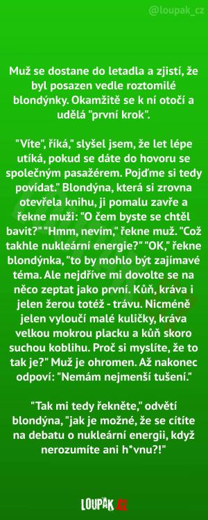 Napínavá konverzace v letadle