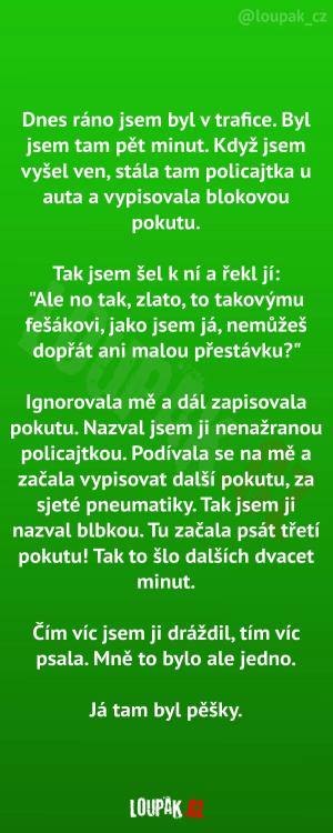 Trošku jsem někomu přisolil pokutu