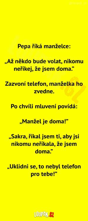 Hlavně neříkej, že jsem doma!