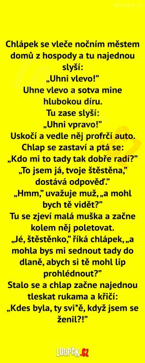 Cesta domů nočním městem 