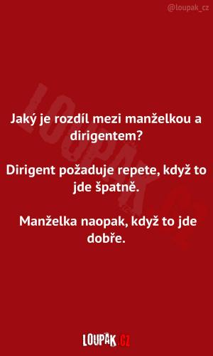 Manželka a dirigent 