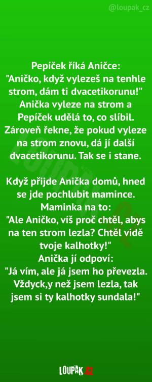 Anička převezla Pepíčka