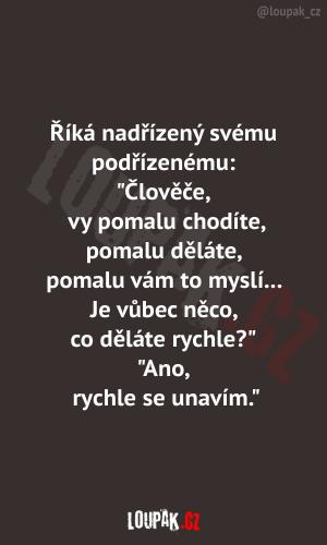 No prostě sen každého zaměstnavatele