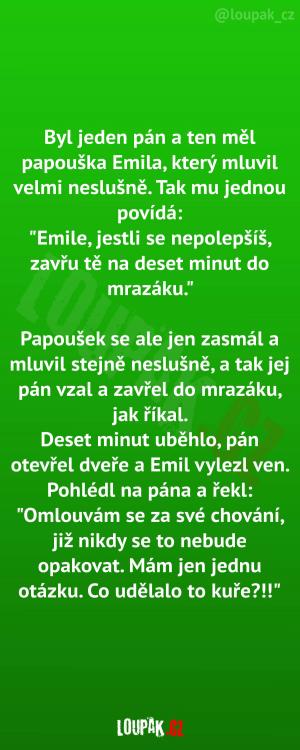 Vulgární papoušek Emil