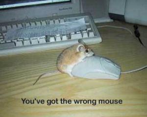 Není myš jako myš