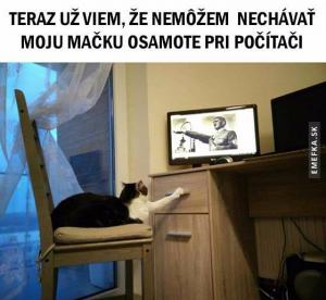 Moje kočka o samotě