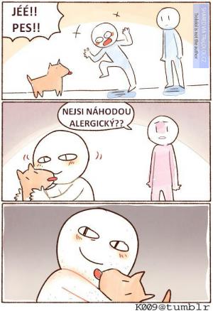 Nejsi náhodou alergický?