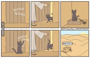 Logika koček