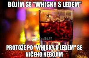 Whisky s ledem