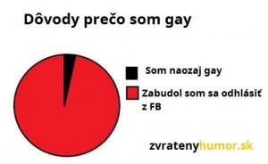 Proč jsem gay