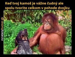 Ty a kámoš
