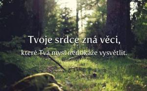 Mysl