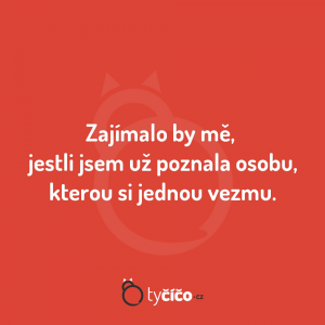 Budoucí partner