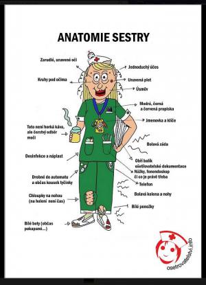 Anatomie zdravotní sestry